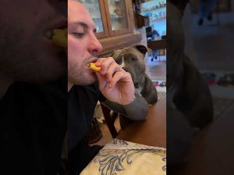 Non si puo nemmeno mangiare tranquilli 🤣😅😍😑❤️
