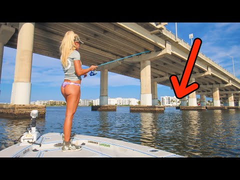 Fishing under HUGE BRIDGE in Florida Lagoon! (Catch & Cook)