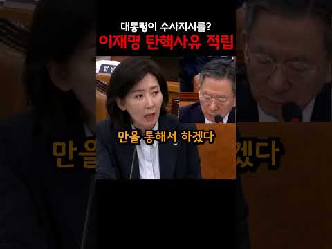 대통령이 수사지시를? 탄핵사유 착실히 적립하는 이재명 두들겨 패버리는 나경원 의원 ㅋㅋ