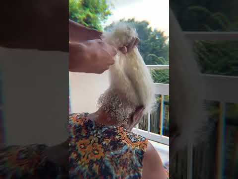FINALIZANDO O CABELO DA MINHA VÓ ? ✨ | Pôr @Yuri.Cachos