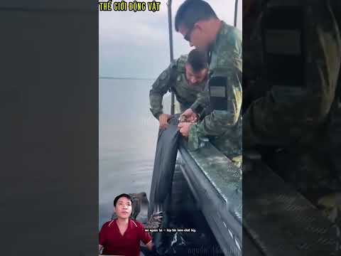 con báo cố trốn khỏi bọn săn trộm được cứu kịp thời.