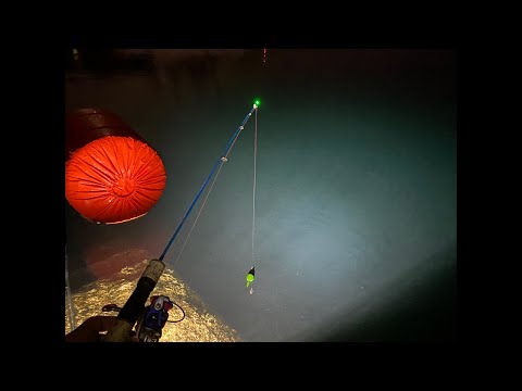 【配信】カサゴをひたすら釣るだけの配信