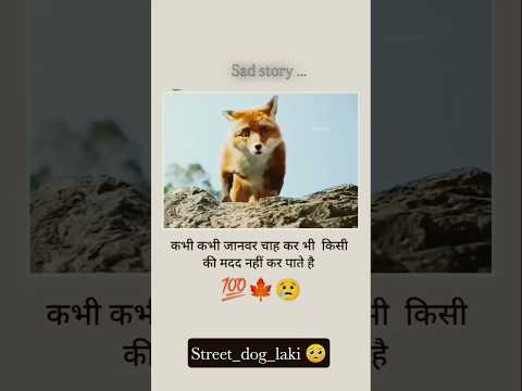 कभी कभी जानवर चाह कर भी किसी की मदद नहीं कर पाते 🥺 #animals #imotional #sedstatus #shorts
