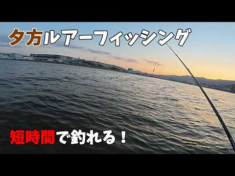 夕方のちょこっとルアーフィッシングは手軽に釣れる！