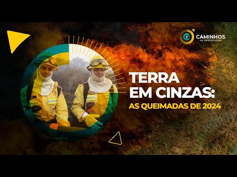 Caminhos da Reportagem | Terra em cinzas: as queimadas de 2024