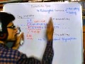 Satellite DNA and Genetic Polymorphism