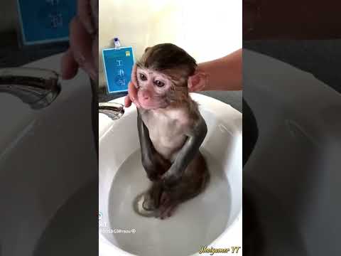 30 de octubre de 2025