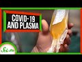 Understanding Plasma Transfusions and COVID-19
