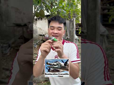 Bombardino Crocodillo vũ trụ brainrot #funny #brainrot