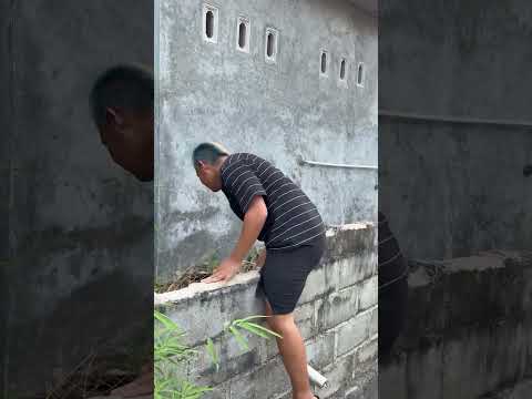 pernah gak sih kalian kabur kemanapun itu tetep ketangkep🤣<strong>komen</strong> ya #shorts #ompedvisual #short
