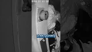Странные Грабители Не Тронули Деньги, Но Взяли ОДНУ ВЕЩЬ