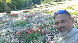 Willy Dohmen Park 