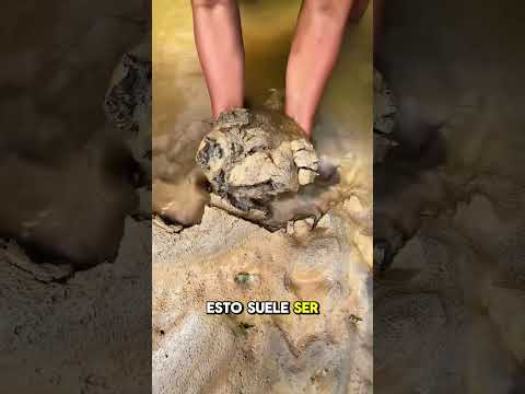 ¿Oro pueo en el barro? Mira esto 👆🏻💰🤩