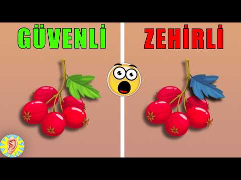 Zor Anlarda Hayatta Kalmanızı Sağlayacak 10 İPUCU