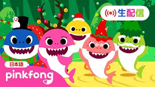 【🔴生配信】ピンキッツ・ベイビーシャークの24時間TV LIVE★クリスマス🎅🏻スペシャル | サメのかぞくの子どもの歌メドレー🎶