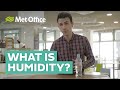 Understanding Humidity and Its Effects