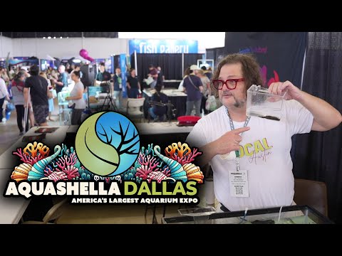 Must-See Moments from Aquashella Dallas  | New Tec Join me at Aquashella Dallas 2025 as I explore one of the biggest aquarium festivals in the U.S.! 