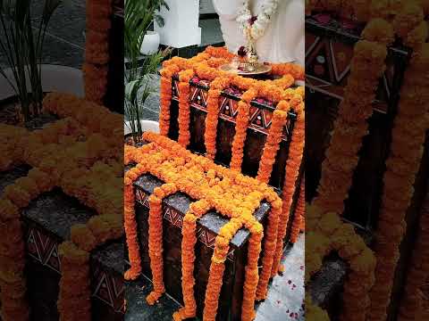 #Cblu # new campus # jai maa sarswati # new video