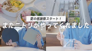 【これは神すぎる】ニトリ新作のキッチン・収納用品がやばい！