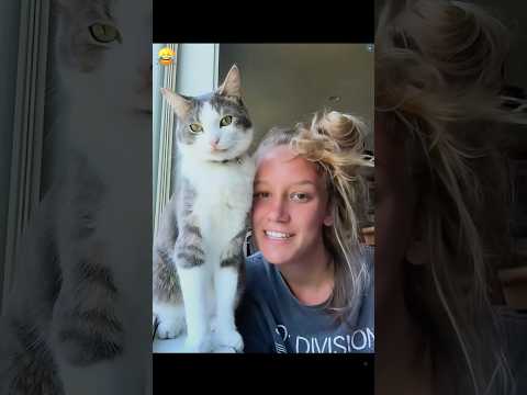 Your cat must have done this on purpose #funny #cat #funnyanimal #funnypet #pets
