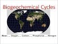 Exploring Biogeochemical Cycles in Biology