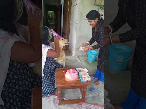 # ice cream yummy yummy # My dog Teed ❤️ # golden retriever dog #