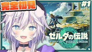 【ゼルダの伝説 ティアーズ オブ ザ キングダム】完全初見￤伝説の幕開け!! # 1 #ぎんかいおんえあ  【銀灰まお/ハコネクト】