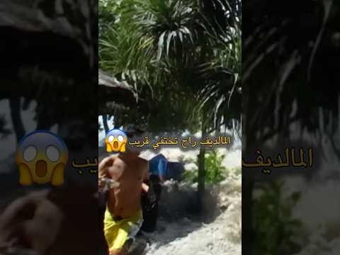 ليش المالديف مهددة بالاختفاء #travel