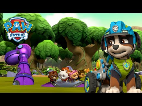 Estadísticas y Análisis de  Patrulha Pata - PAW Patrol Portugues