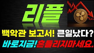 [리플 주가전망] 긴급속보!! 백악관 보고서!! 큰일났다? 바로지금!? 흔들리지 마세요.   #리플관련주