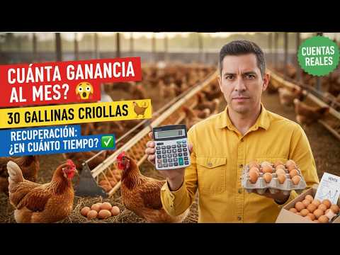 Cuánta ganancia espero obtener de 30 gallinas criollas por mes y cuál es el período de recuperación
