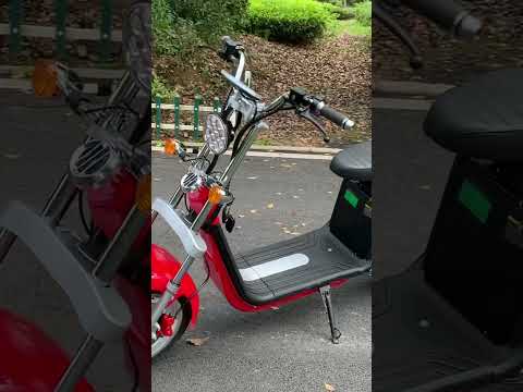 Electric Scooter electric citycoco chopper bike car