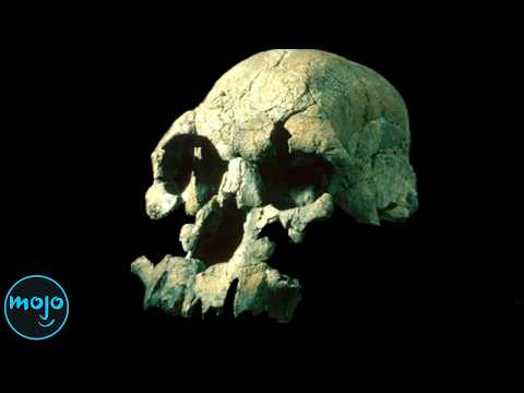 Top 10 Greatest Archaeological Discoveries That Changed History Forever