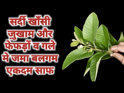 एक ही खुराक में खाँसी सर्दी जुखाम और फेफड़ो व गले में जमा बलगम कफ़ एकदम साफ़ बिना दवाई के Cold Cough