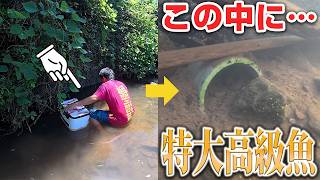 山奥で発見…この中から特大うなぎが‼