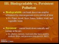 Pollution Types and Management Concepts