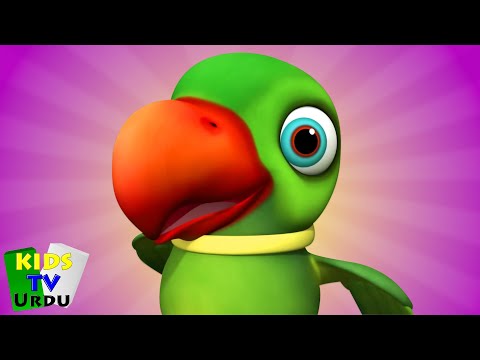 Main tota Main Tota, مین ٹوٹا مین ٹوٹا, Urdu Kids Rhymes and Nursery Poem