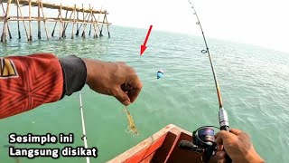 Jarang-jarang nemu moment seperti ini, Baru mulai langsung disikat Barramundi