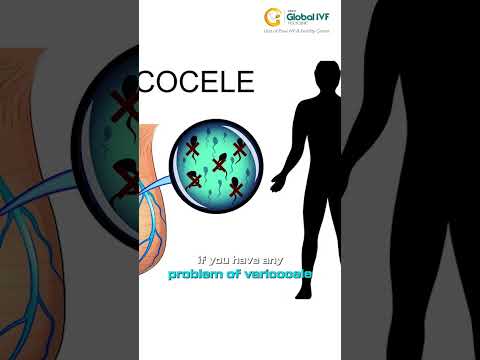 How to Improve Sperm Count? | Best Embryologist in New Delhi