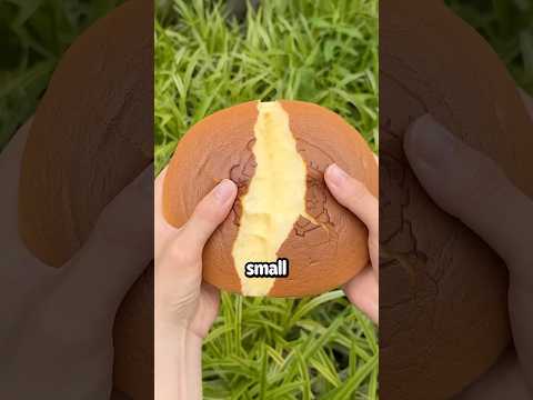Things in 🇰🇷 Korea that just make sense