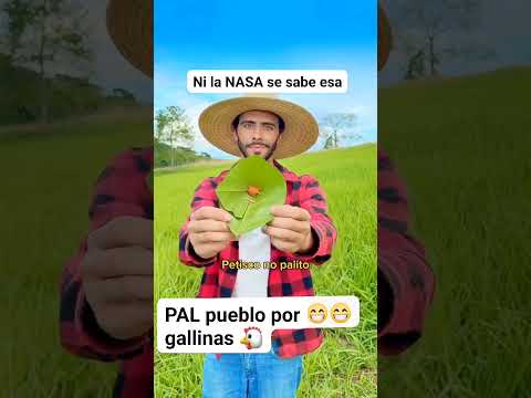 ๐คฃ๐
buena tรฉcnica #humor #suscribete #comedia #memes #colombia #viralvideo