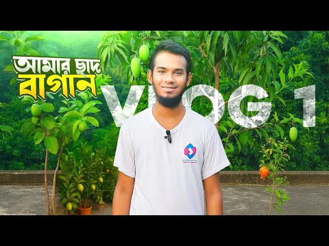 আমার শখের ছাদ বাগান। Blog No 1 || Technical 360 Degree || MD Shamim Ahammad