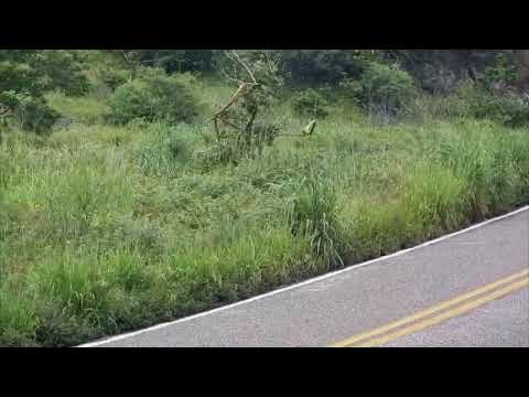 Car Loses Control on Sharp Turn and Crashes Off Mountain Road