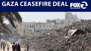 Hamas accepts ceasefire proposal on Gaza strip