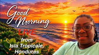 LIVE Sunrise from Isla Tropicale