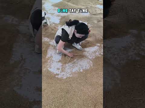mấy chỗ mà giàu