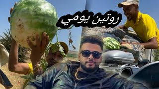 "روتين يومي 🤔 كفاش دوزة 👩‍🌾 نهاري"