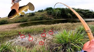 A ISCA BATIA NAQUELE MATO ELAS DEVORAVAM!! Acertei o Ninho das MONSTRAS... Pescaria de Traíra