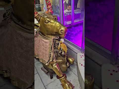 ##status of bhole baba ji##๐๐๐๐โค๏ธโค๏ธโค๏ธโค๏ธ๐น๐น๐น๐น๐๐##har har mahadev##๐๐๐๐โค๏ธโค๏ธโค๏ธโค๏ธ๐น๐น๐น๐น๐๐