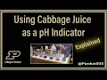 Cabbage Juice pH Indicator Concepts